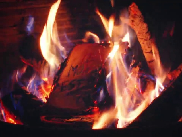 Video Reference: Bonfire, Fire, Flame, Campfire, Heat, Ash, Gas, Fireplace, Wood, Event