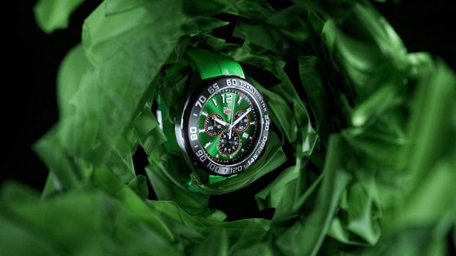 Video Reference: Watch, Plant, Leaf, Organism, Flash photography, Clock, Grass, Terrestrial plant, Bottle cap, Circle