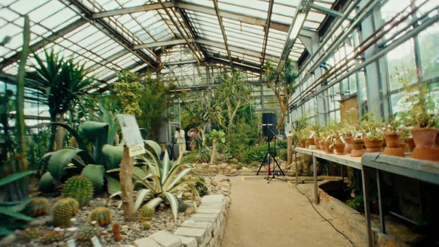 Video Reference: Plant, Plant community, Botany, Greenhouse, Terrestrial plant, Building, Leisure, Arecales, Landscape, Urban design