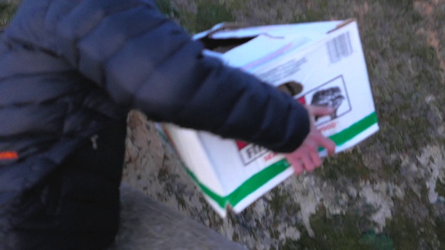 Video Reference: Plant, Glove, Finger, Wood, Font, Flooring, Tree, Grass, Nail, Soil