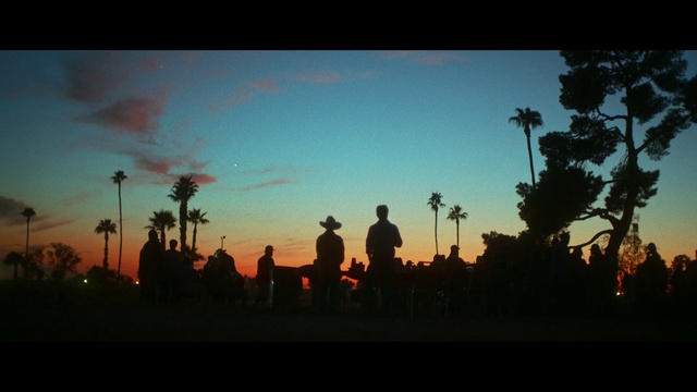 Video Reference: Sky, Cloud, Flash photography, Arecales, Afterglow, Tree, People in nature, Woody plant, Sunrise, Natural landscape