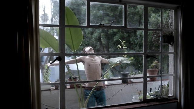 Video Reference: Window, Fixture, Plant, Tints and shades, Glass, Tree, Shade, Hat, Metal, Sash window