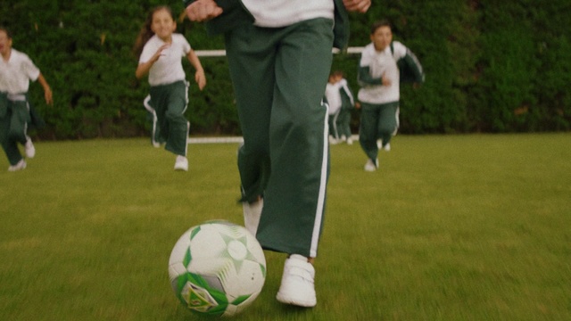 Video Reference: Vertebrate, Sports equipment, Football, Green, Soccer, Ball, Mammal, Gesture, Grass, Shorts