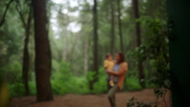 Video Reference: Plant, Green, People in nature, Tree, Wood, Natural landscape, Trunk, Terrestrial plant, Happy, Landscape