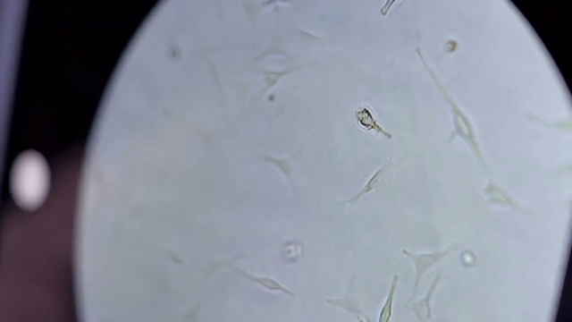 Video Reference: Liquid, Fluid, Water, Dish, Circle, Ingredient, Cuisine, Glass, Transparent material, Electric blue