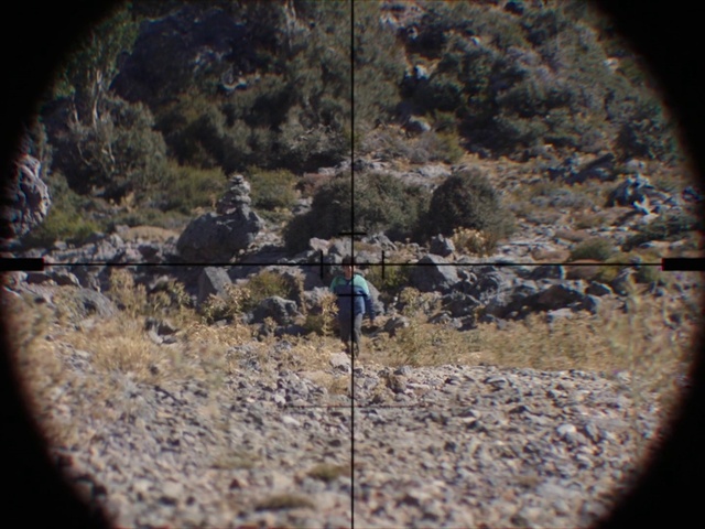 Video Reference: Plant, Window, Bedrock, Organism, Wood, Landscape, Formation, Tree, Geological phenomenon, Circle