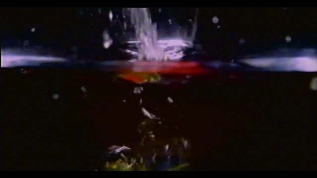 Video Reference: Water, Liquid, Automotive lighting, Fluid, Entertainment, Performing arts, Event, Marine biology, Darkness, Electric blue