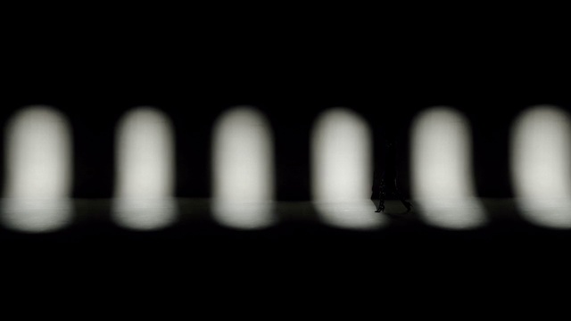 Video Reference: Automotive lighting, Automotive design, Font, Gas, Circle, Midnight, Tree, Logo, Automotive exterior, Monochrome photography