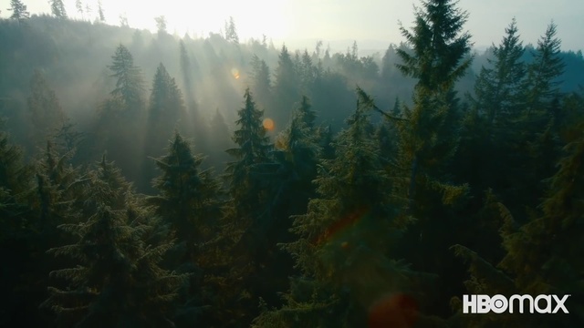 Video Reference: Sky, Natural landscape, Plant, Larch, Fog, Mountain, Vegetation, Tree, Wood, Highland