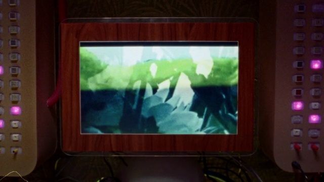 Video Reference: Leaf, Flat panel display, Rectangle, Art, Entertainment, Display device, Electronic device, Projector accessory, Event, Output device