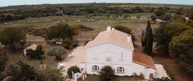 Video Reference: Plant, Property, Tree, Window, Sky, House, Landscape, Roof, Building, Facade