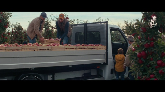 Video Reference: Car, Vehicle, Motor vehicle, Plant, Mode of transport, Tree, Automotive exterior, Vehicle door, Pink, Automotive lighting