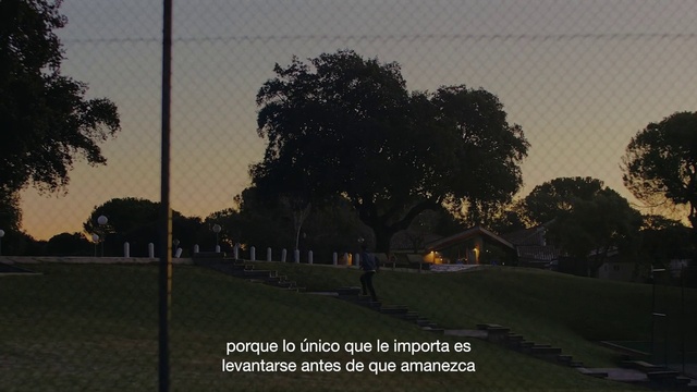 Video Reference: Sky, Nature, Tree, Plant, Dusk, Natural landscape, Asphalt, Plain, Sunset, Tints and shades