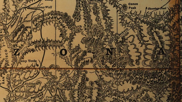 Video Reference: Plant, Vertebrate, Leaf, Botany, Natural environment, Textile, Branch, Organism, Font, Art