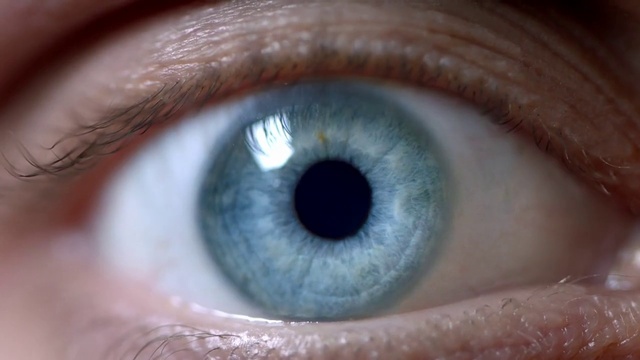 Video Reference: Hair, Nose, Brown, Head, Eye, Eyebrow, Photograph, Eyelash, Human body, Iris