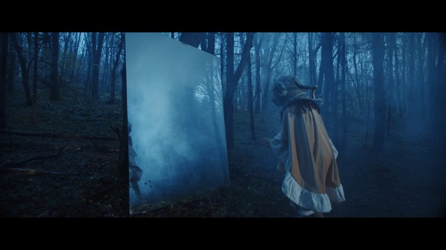 Video Reference: Atmosphere, Plant, Azure, Tree, Natural environment, Flash photography, Branch, Wood, People in nature, Sky