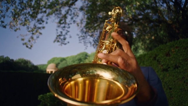 Video Reference: Sky, Wind instrument, Musical instrument, Brass instrument, Tree, Grass, Plant, Art, Event, Metal