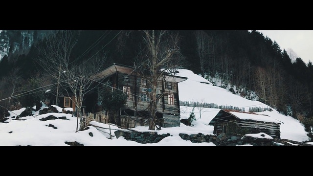 Video Reference: Building, Snow, World, Slope, House, Natural landscape, Tree, Landscape, Freezing, Tints and shades