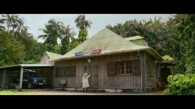 Video Reference: Sky, Plant, Building, Tire, Tree, Arecales, Land lot, Window, Cottage, Residential area