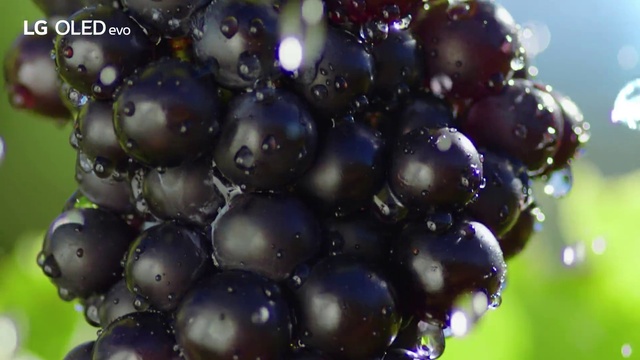 Video Reference: Food, Fruit, Natural foods, Seedless fruit, Berry, Electric blue, Flowering plant, Tree, Produce, Grapevine family