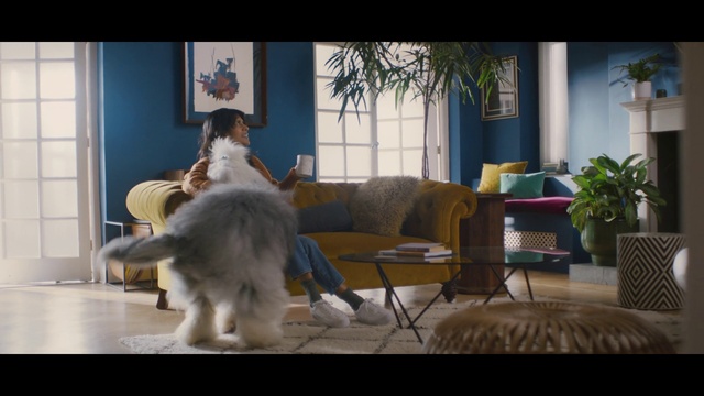 Video Reference: Furniture, Couch, Plant, Table, Comfort, Window, Felidae, Floor, studio couch, Fawn