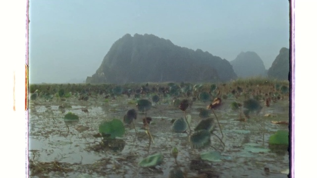 Video Reference: Plant community, Plant, Ecoregion, Sky, Mountain, Vegetation, Atmospheric phenomenon, Terrestrial plant, Landscape, Grass
