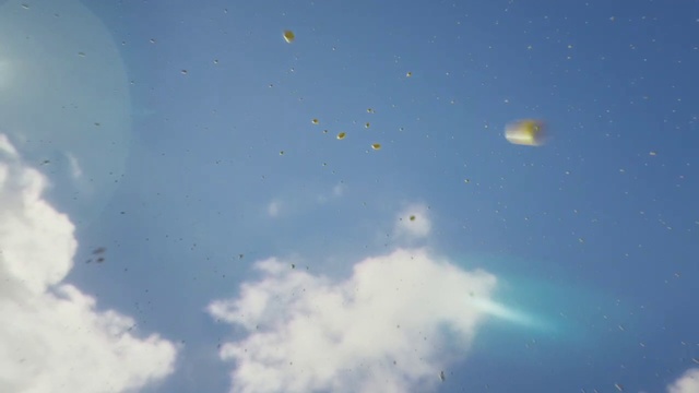 Video Reference: Cloud, Atmosphere, Sky, Tree, Plant, Water, Cumulus, Electric blue, Astronomical object, Space