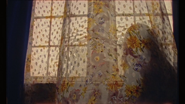 Video Reference: Wood, Textile, Window, Art, Tree, Tints and shades, Pattern, Linens, Flooring, Glass