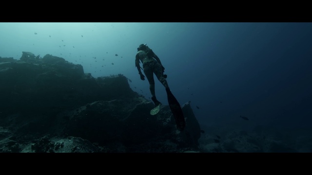 Video Reference: Water, Underwater diving, Scuba diving, Divemaster, Diving equipment, Underwater, Dry suit, Swimfin, Underwater sports, Aquanaut