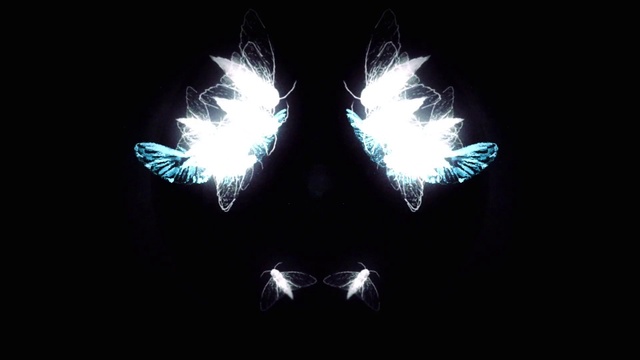 Video Reference: Art, Sky, Gas, Wing, Electric blue, Symmetry, Darkness, Event, Entertainment, Font