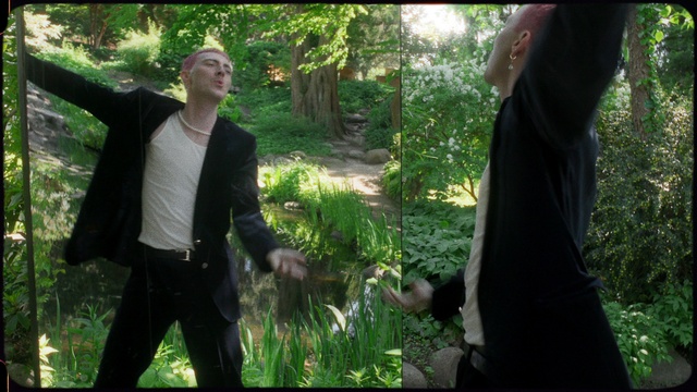 Video Reference: Plant, People in nature, Branch, Terrestrial plant, Gesture, Grass, Natural landscape, Happy, Landscape, Tree