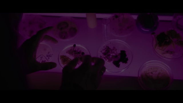 Video Reference: Purple, Organism, Gesture, Violet, Pink, Font, Magenta, Fun, Circle, Art