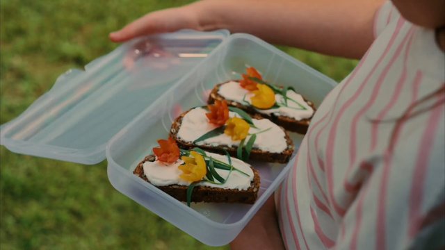 Video Reference: toast, bread, edible flowers, cream, plastic container, outdoor, hands, food, snack, picnic, close-up, homemade, plate, container, decorated, fresh