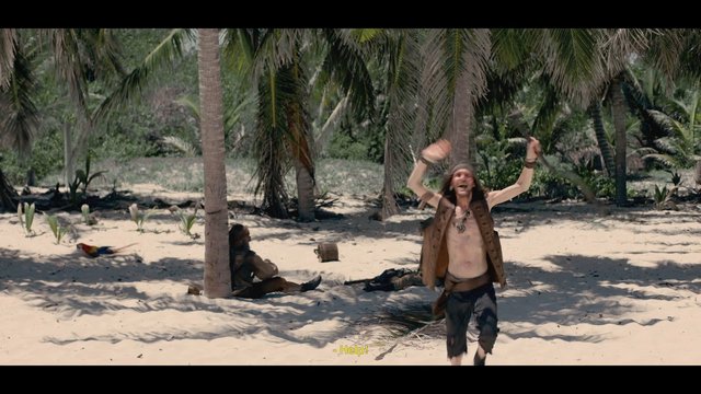 Video Reference: beach, tropical, palm trees, man, shouting, arms raised, sand, outdoor, island, adventure, survival, people, forest, daylight