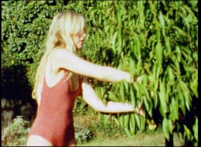 Video Reference: woman, blonde, swimsuit, outdoors, garden, backyard, tree, leaves, sunlight, summer, nature, standing, reaching
