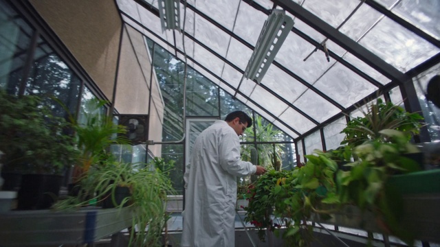 Video Reference: Plant, Greenhouse, Window, Building, Glass, Event, Formal wear, Chair, Door, Houseplant