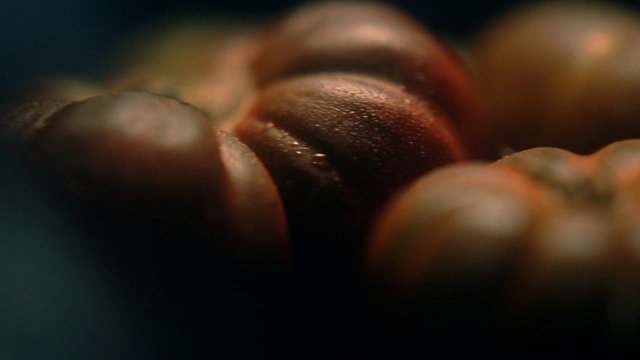 Video Reference: Eyelash, Human body, Gesture, Wood, Finger, Nail, Snout, Human leg, Foot, Thumb