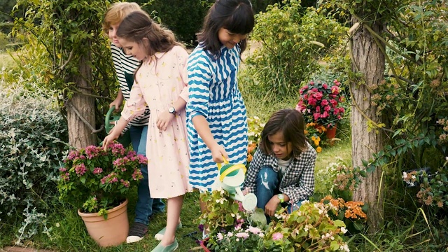 Video Reference: Flower, Plant, Leaf, Flowerpot, People in nature, Grass, Leisure, Summer, Groundcover, Happy