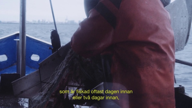 Video Reference: Sleeve, Boat, Naval architecture, Morning, Travel, Watercraft, Sky, Ship, Recreation, Boats and boating--Equipment and supplies