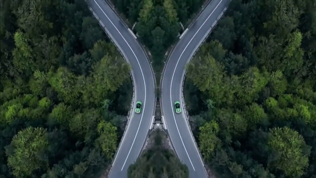 Video Reference: Plant, Infrastructure, Tree, Water, Road surface, Asphalt, Urban design, Thoroughfare, Landscape, Bridge
