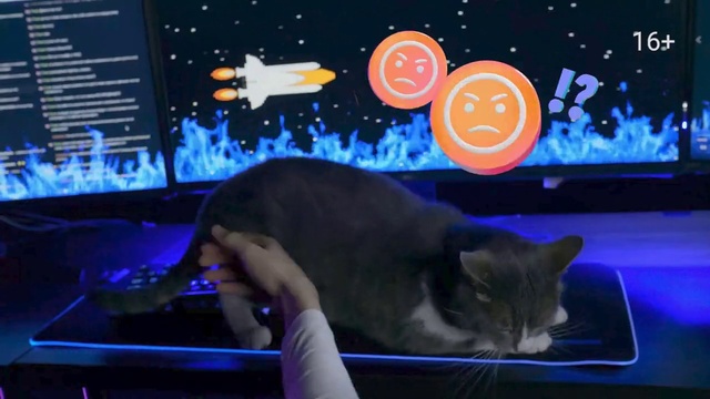 Video Reference: Cat, World, Felidae, Carnivore, Small to medium-sized cats, Electric blue, Space, Whiskers, Display device, Astronomical object
