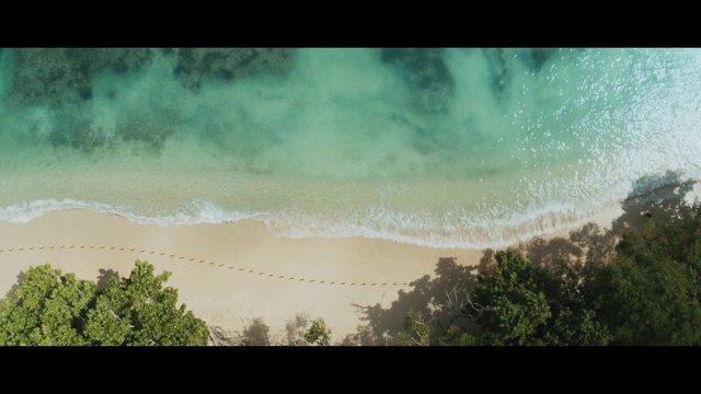 Video Reference: Water, Cloud, Atmosphere, Azure, Natural landscape, Tree, Sky, Fog, Body of water, Grass