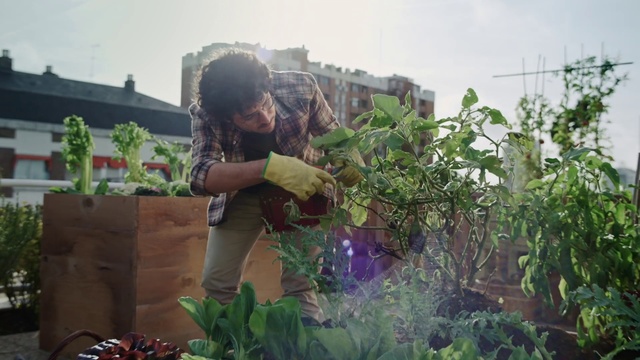 Video Reference: Plant, Sky, Terrestrial plant, Grass, Shrub, Landscape, Agriculture, Flowering plant, Soil, Farmworker
