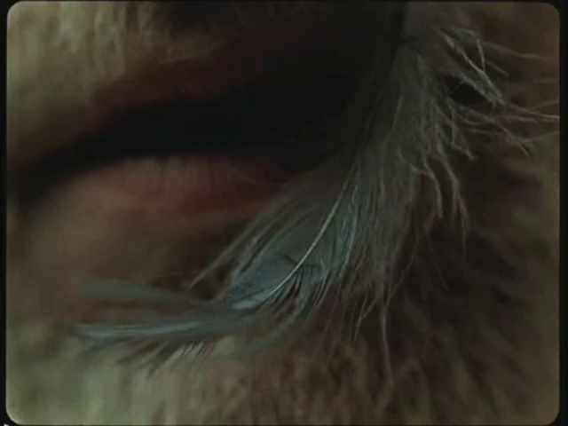 Video Reference: Brown, Eyelash, Liver, Rectangle, Tints and shades, Whiskers, Art, Visual arts, Fashion accessory, Fur