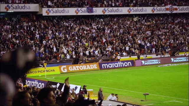 Video Reference: World, Soccer, Player, Ball game, Fan, Grass, Sports jersey, Sports, Competition event, Line