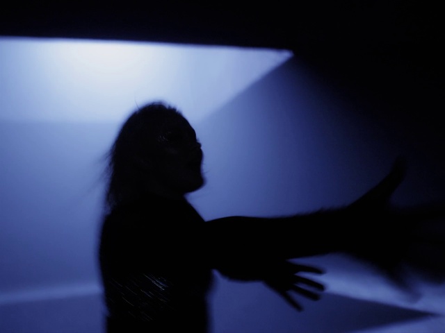 Video Reference: Water, Flash photography, Electric blue, Event, Primate, Darkness, Backlighting, Sky, Shadow, Tail