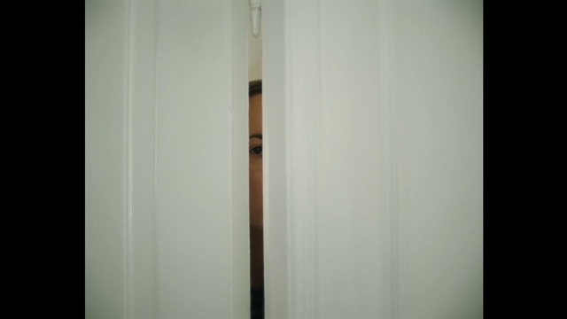 Video Reference: Rectangle, Wood, Tints and shades, Flooring, Hardwood, Door handle, Glass, Metal, Home door, Light fixture