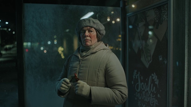 Video Reference: Gesture, Jacket, Fun, Glass, Darkness, Midnight, Helmet, Event, Winter, Visual arts