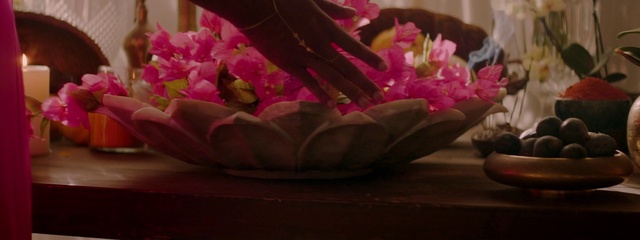 Video Reference: Flower, Plant, Petal, Pink, Terrestrial plant, Herbaceous plant, Magenta, Flowering plant, Artificial flower, Cut flowers