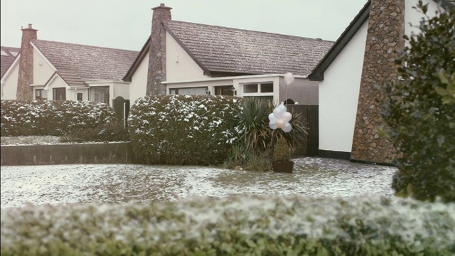 Video Reference: Plant, Building, Property, Window, Sky, House, Land lot, Grass, Residential area, Neighbourhood